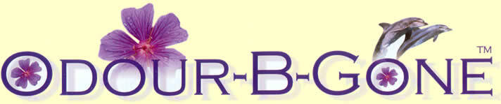 Odour B Gone 10x8g RV Toilet Tablets