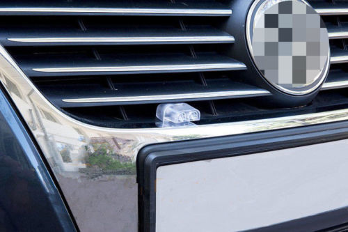 Animal Warning Device