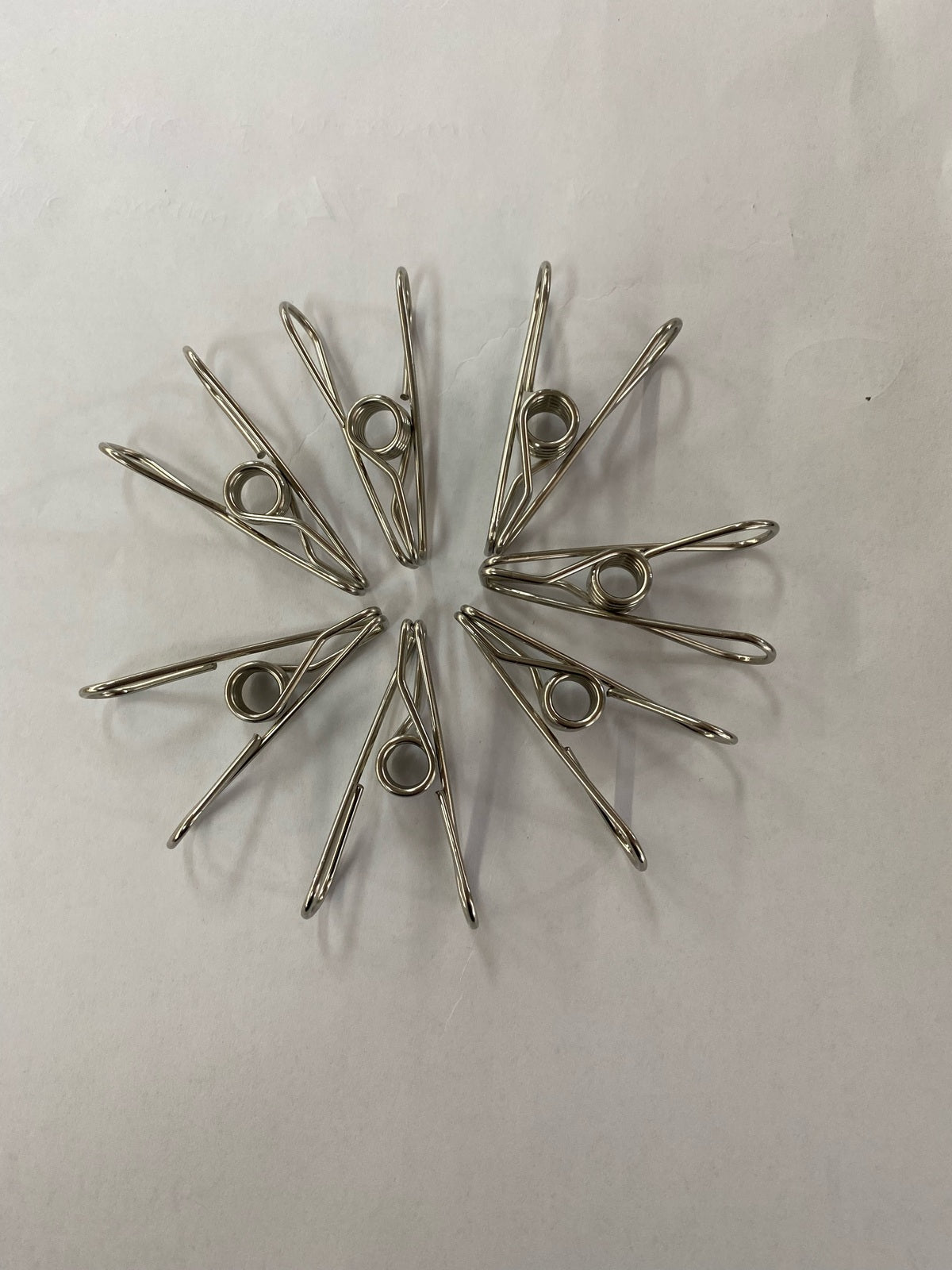 Stainless Steel Pegs 12 Pack