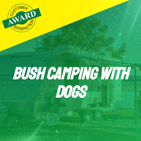 Bush Camping With Dogs